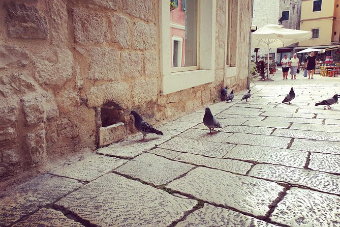 Private Sibenik Walking Historical Morning or Evening Tour - A private Šibenik walk that helps you read the town