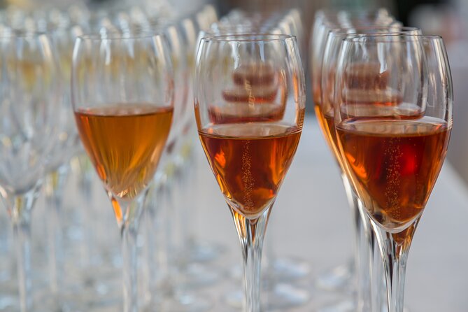 Private Sparkling Wine Tasting in Istria - Who this private sparkling tasting fits best