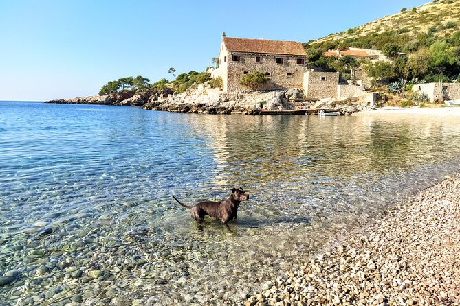 Private Speed Boat Tour of Hvar South Shore & Pakleni islands - Price and value: is $420.08 per group actually fair?