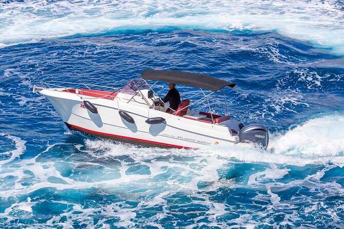 Private Speedboat Tour to Elafiti Islands - The Atlantic Marine 750: why this boat is ideal for caves and coves