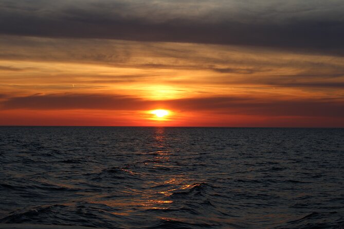 Private Sunset Dolphin Excursion with Dinner and Animation - Dolphins in Kamenjak Bay: the whole point of this Medulin boat evening