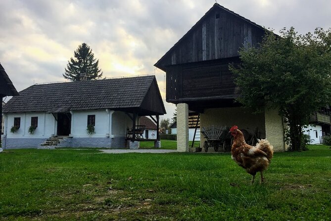 Private Tito's Village tour in Old-Timer Yugo car - Vintage Yugo road trip: why the ride matters