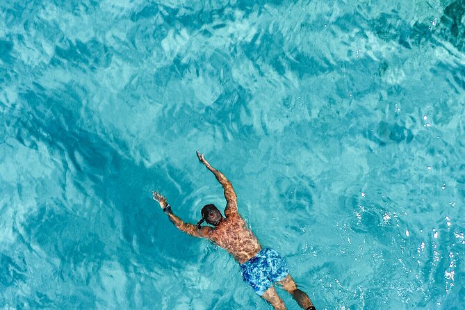 Private tour Sibenik full day - The 12-hour rhythm: cruising, swim/photo stops, and real time on the water