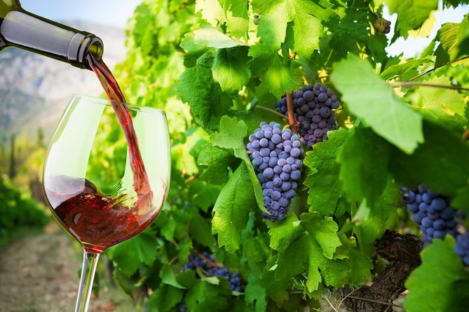 Private Tour: Ston and Peljesac Peninsula Day Trip with Wine Tasting - Key highlights to know before you go
