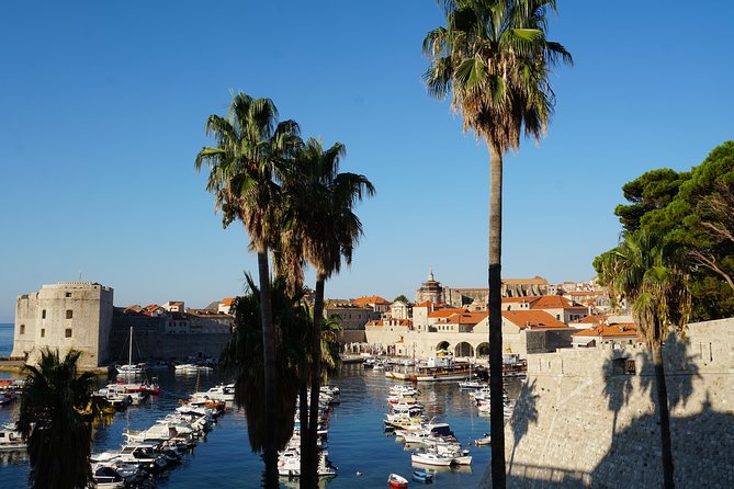 Private transfer from Split to Dubrovnik - Reliability In The Driver Experience: What To Expect From The Ride