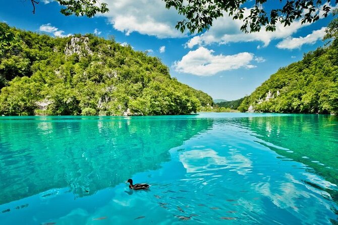Private Transfers to Krka Waterfalls & Game of Thrones Castle - Krka Waterfalls: boardwalk time, trail time, and where your money goes