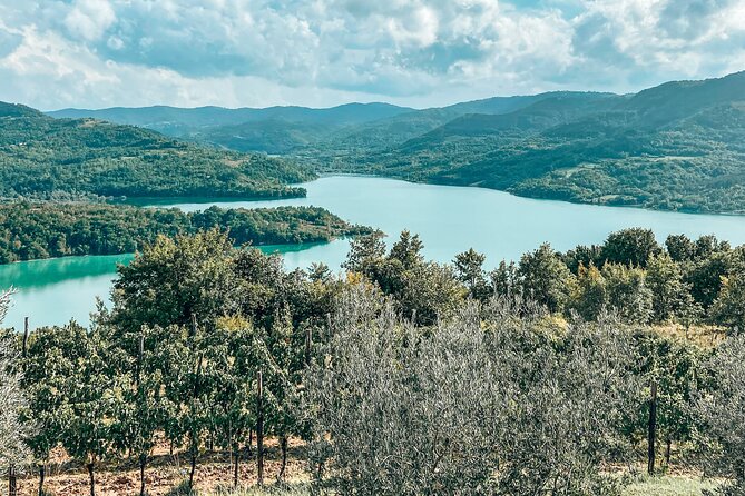 Private Truffle Hunting with Cooking Session - Private Truffle Hunting Near Motovun: What You’re Really Paying For