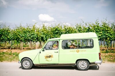 Private Truffle Hunting with Cooking Session - Following Truffle Dogs in the Motovun Forest