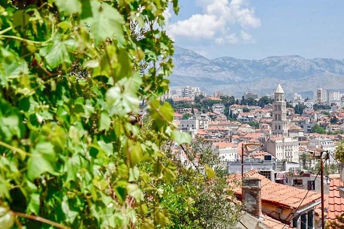 Private Walking Tour of Split with a Local - Split Fish Market: Adriatic flavors and city folklore