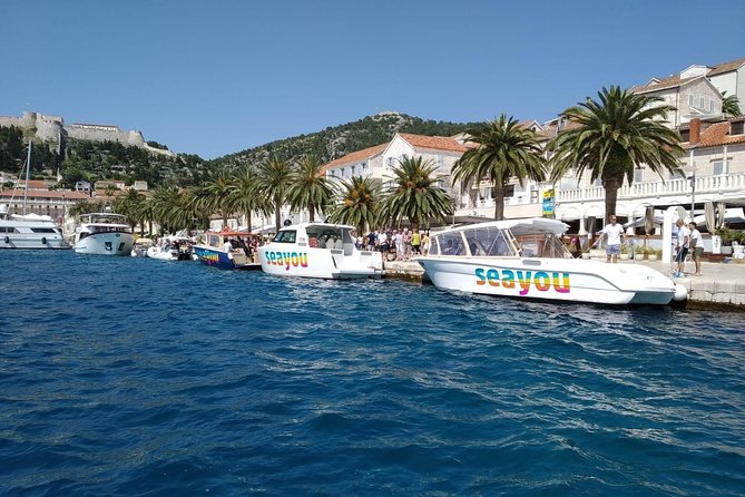 Private Water taxi from Split to Brac island - Dolphins, music, and the small moments you’ll remember