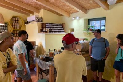 Private Wine and Gin Tour Around the Island of Korcula - Getting There: Wine Corner Korčula and an Afternoon Start