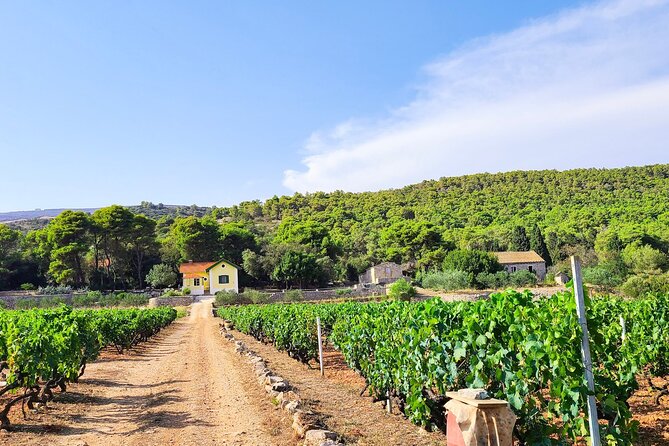 Private Wine and Gin Tour Around the Island of Korcula - How the 4 Hours Actually Feel: Pace, Pickup, and the Best Use of Your Time