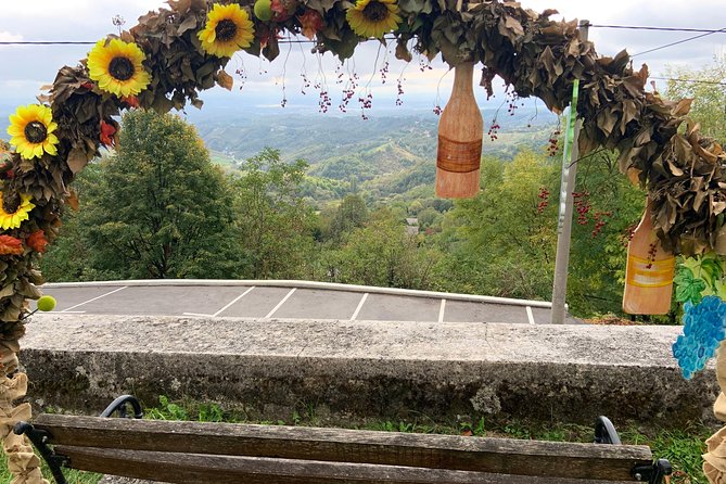 Private Wine Road Day Tour from Zagreb - Samobor in One Hour: Medieval Streets, Kremsnita, and the Bermet Break