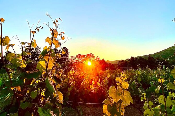Private Wine Tasting Under The Stars With Sunset Panorama - The 7:00 pm pickup and why timing matters for “under the stars”