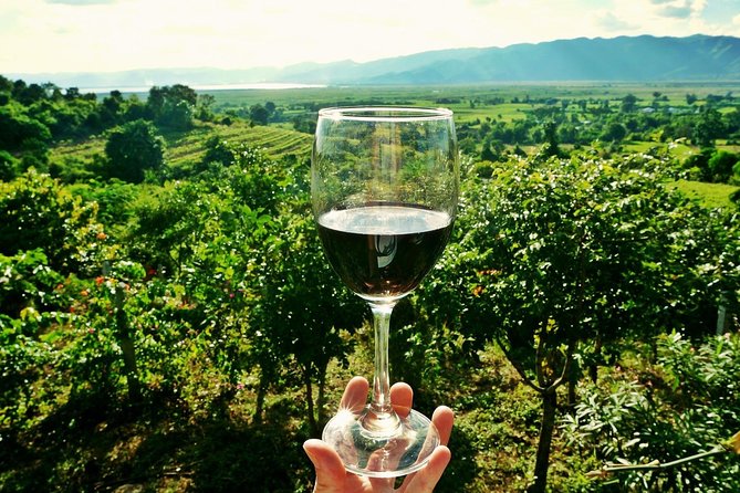 Private Wine Tour from Zagreb: Two Local Wineries & Samobor - Key things that make this tour work