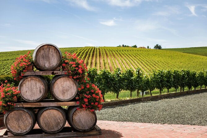 Private Wine Tour from Zagreb: Two Local Wineries & Samobor - Why Plešivica is a smart choice for a Zagreb wine day