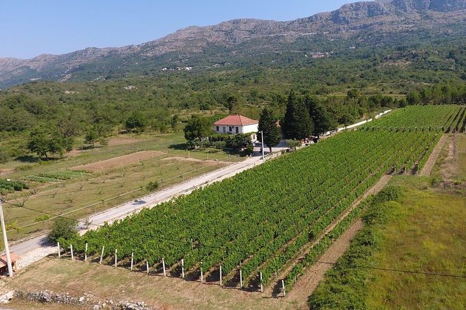 PRIVATE Wine Tour to Konavle country side - The pacing and the “host family” vibe: stories, laughs, and a real seat at the table