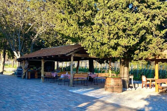 PRIVATE Wine Tour to Konavle country side - Possible extra stops on the way: spring and mill moments
