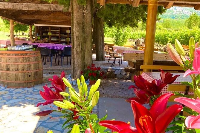 PRIVATE Wine Tour to Konavle country side - Pickup in Dubrovnik: how to avoid the day getting messy