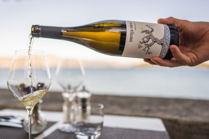 Private Winemaking of the Island of Korčula - WSET Level 3 educator: how the tasting is taught