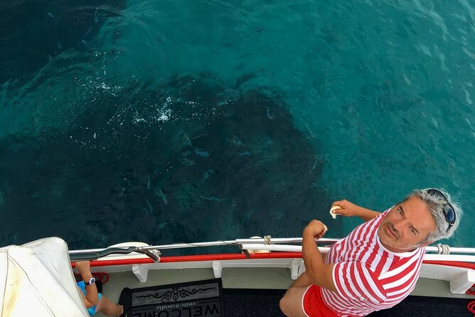 PUBLIC 5h Plavnik Island swimming & snorkeling Half-day Boat trip - Price and What You’re Really Paying For (and What to Bring)