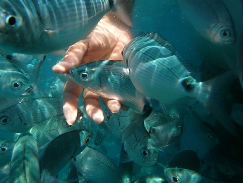 Pula: Bike Tour of Ancient Pula & Aquatic Adventures - Price and value: what $57 buys you in Pula