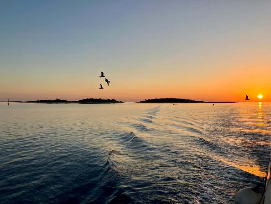 Pula: Brijuni National Park Sunset Cruise with Open Bar - The double-deck boat setup: comfort, sightlines, and movement