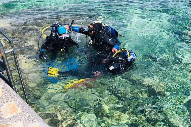 Pula Discover Scuba Diving Package - Orca Centre Check-In: Equipment and Intro Before the Water
