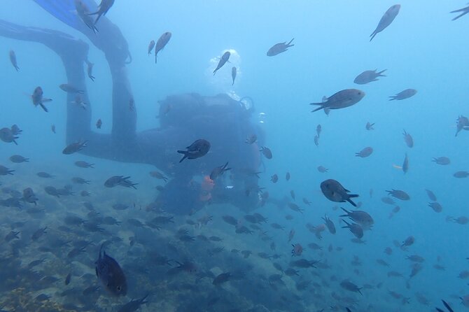 Pula Discover Scuba Diving Package - Meeting at Park Plaza Histria Pula and What Your Day Looks Like