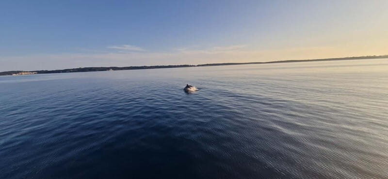 Pula: Half or Full day boat tour on yacht with skipper - National Park Kamenjak: Where the Swim Time Usually Feels Worth It