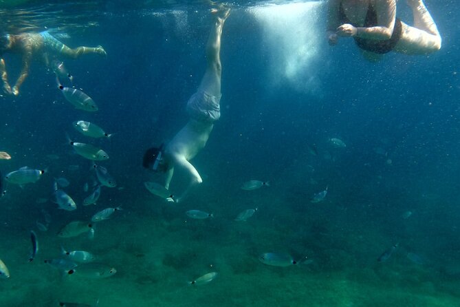 Pula Kayak Tour-Cliff jumping,snorkeling& free GoPro pictures - Why Pula’s Sea Canyon Kayak Feels Like Real Adventure