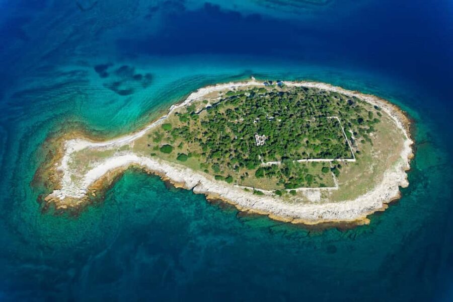 Pula: Private Dolphins & Sunset Tour With Dinner & Drinks - Why this sunset dolphin cruise feels different than a dolphin park