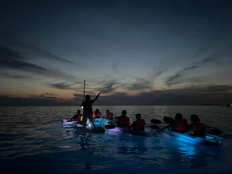 Pula: Sunset/Night Illuminated Transparent Kayak Tour - Key things you’ll notice on this Pula night kayak