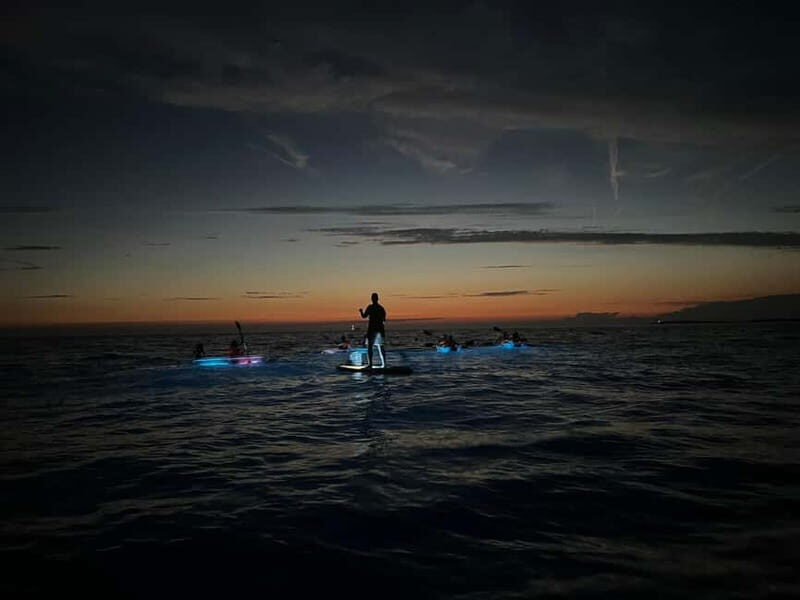 Pula: Sunset/Night Illuminated Transparent Kayak Tour - Marine life spotting: what you might see and how the guides handle it