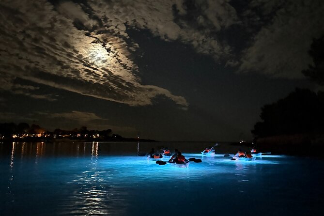 Pula: Sunset/Night-time Illuminated Transparent Kayak Tour - Included Gear and Drinks: The Stuff That Actually Affects Your Comfort