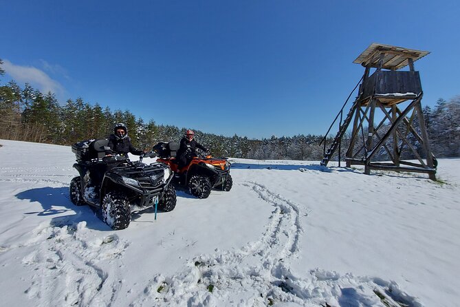 Quad adventure - What the Ride Feels Like: Forest Tracks, Macadam Sections, and Controlled Off-Road