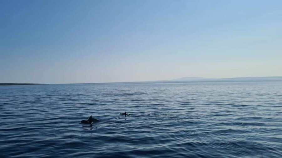 Rab: Zavratnica, Goli Otok and Sveti Grgur Boat Tour - A Rab-to-islands boat day that mixes sea time with real place