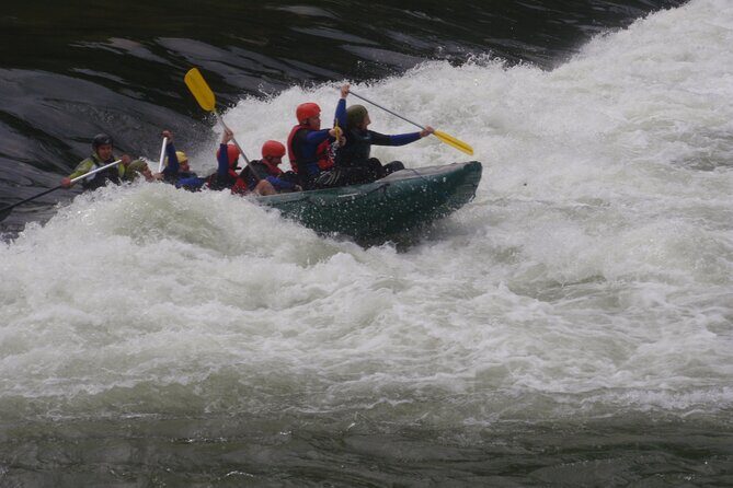 Rafting and Kayaking Adventure in River Kupa - Price and value: why $60.21 can be fair if you treat it as a guided river outing