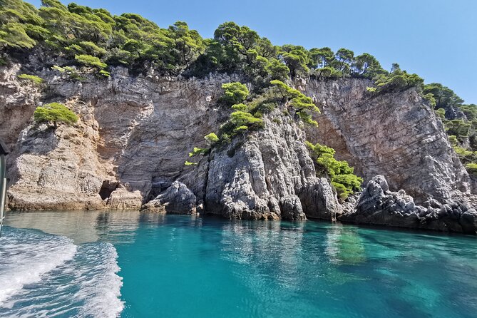 Rent a luxury speed boat for great fun on this Elaphiti Islands tour - Šipan: big olive records, late-Gothic architecture, and a quieter port