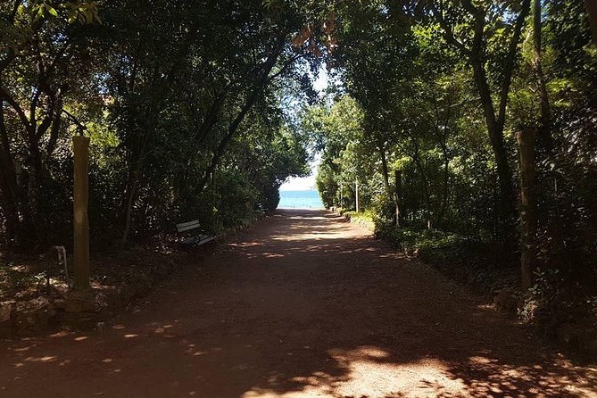 Rent a speed boat and explore beaches and coves of Elaphiti Islands - Lopud: sandy beach time, old gardens, and the Temple of Sun