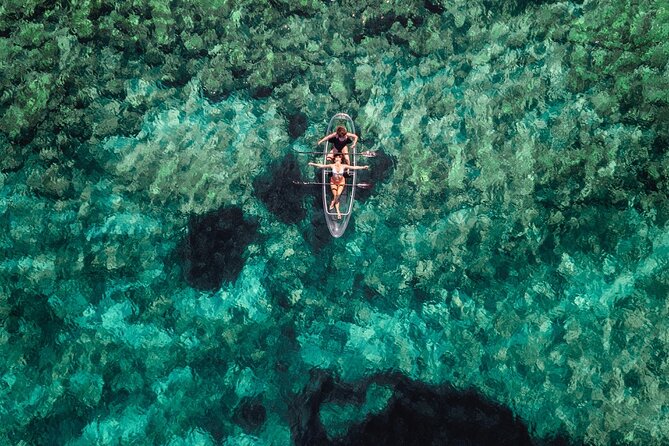 Rent a Transparent Kayak - Discover the Underwater Magic - Who Should Book This Transparent Kayak Trip in Pula
