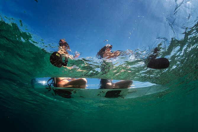 Rent a Transparent Kayak - Discover the Underwater Magic - The 90-Minute Flow: Briefing, Paddling, and Time to Notice