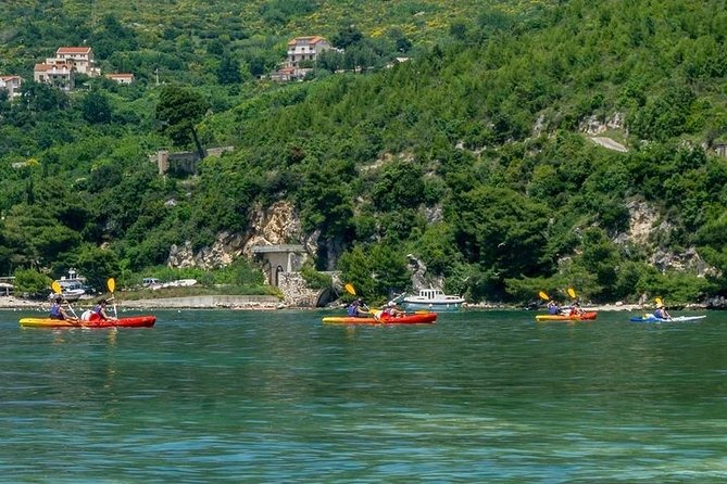 River Challenge Island Tour - Who This Tour Fits Best (and Who Might Prefer Something Else)