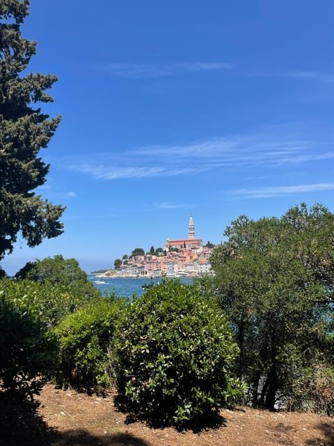Rovinj: BUBA SUNSET KAYAK, snorkeling&driknks incuded - Sv. Katarina Island: snorkeling plus cliff jumping