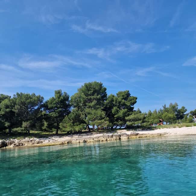 Rovinj Islands: 3-Hour Tour with Swimming and Snorkeling - How the 3 hours around Rovinj Island hopping actually feels