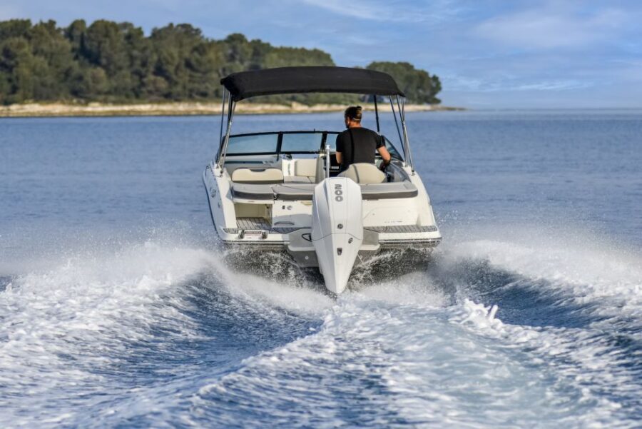 Rovinj: Lim Fjord & Rovinj islands Speedboat Tour - Red Island, the Small Harbor Feel, and the Walk Around the Sites
