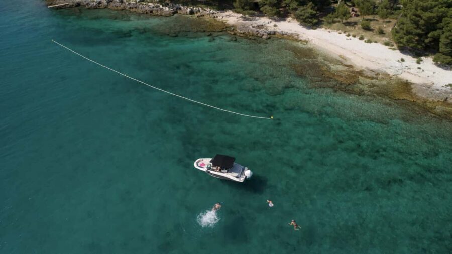 Rovinj: Rovinj Archipelago and South Coves Speedboat Tour - Dolphins and early timing: how to think about wildlife