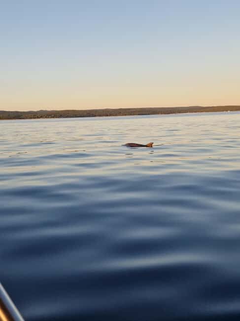 Rovinj: Shared Dolphin and Sunset Tour with Drinks - When to Wear a Jacket (and What the Evening Breeze Feels Like)
