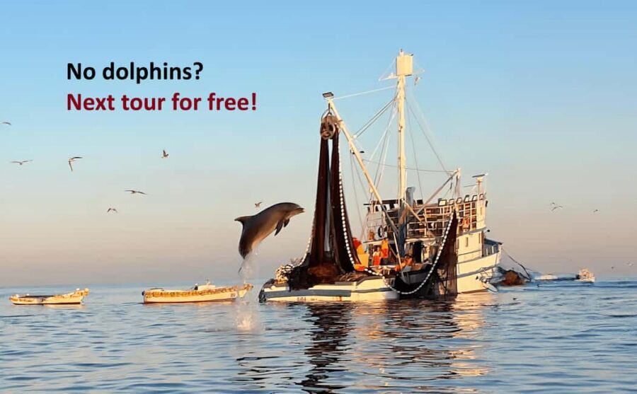 Rovinj: Sunrise Dolphins & Fishermen at Work Speedboat Tour - Sunrise Dolphins & Fishermen at Work: the real hook in Rovinj