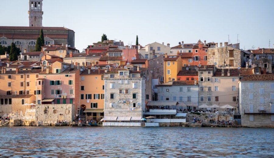 Rovinj: Sunrise Dolphins & Fishermen at Work Speedboat Tour - Respectful dolphin watching: the engine-off detail you’ll feel